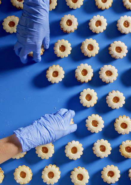 Food manufacturing assembly line making cookies