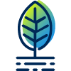 growth_icon