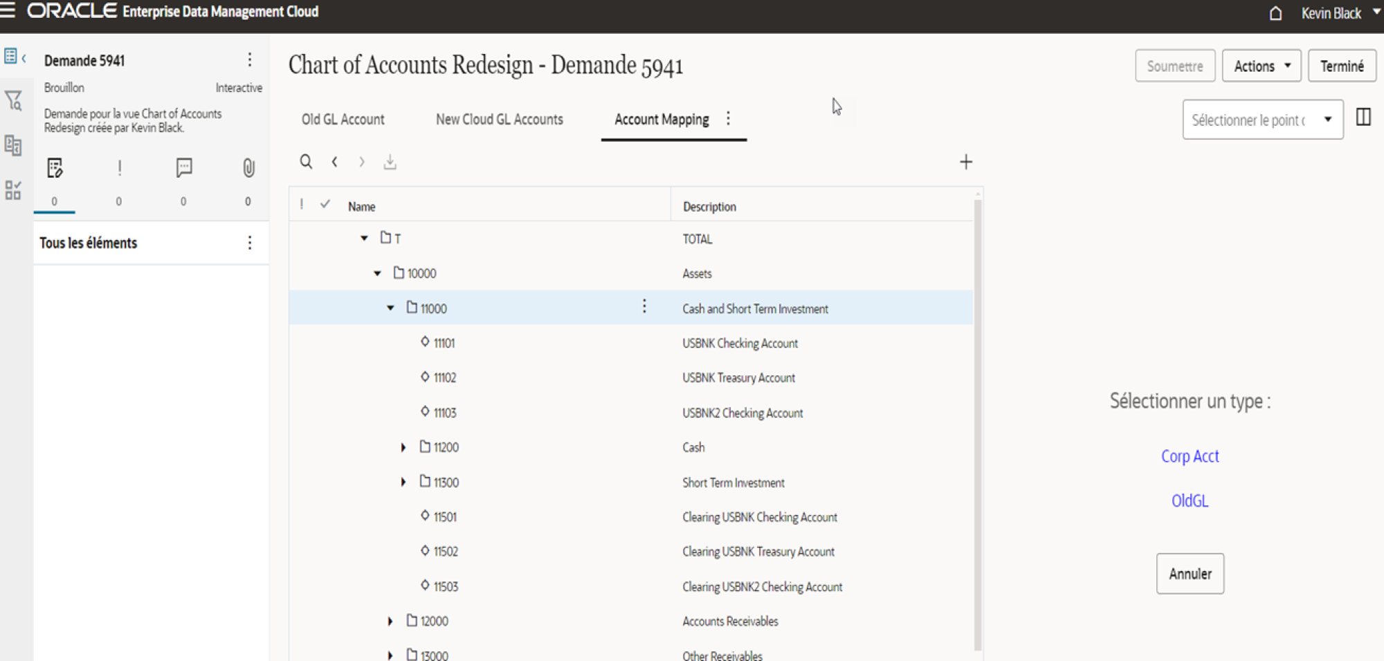 Oracle EDM screenshot parent-child mappings