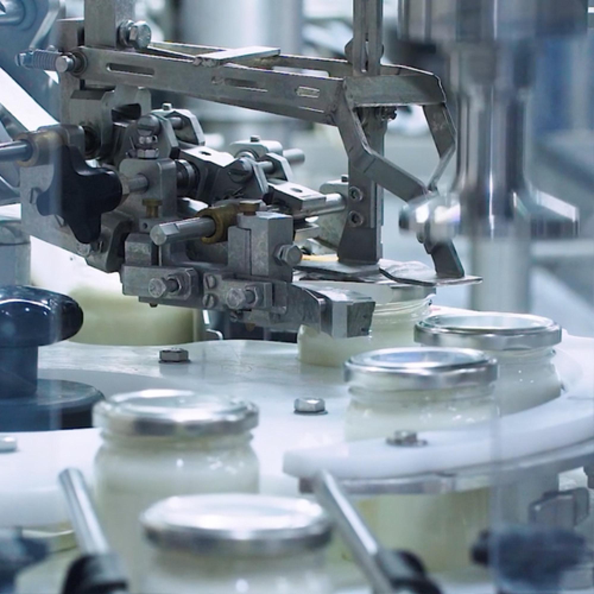 dairy manufacturing